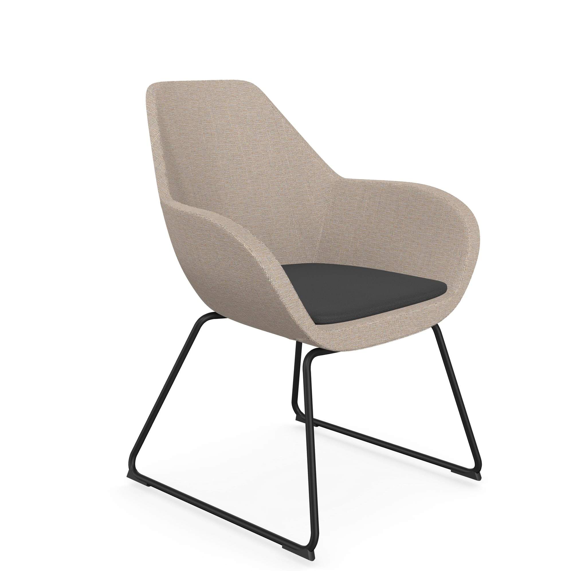 Fan Armchair with Cantilever Legs - Model 10V